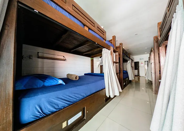 Back Home Backpackers